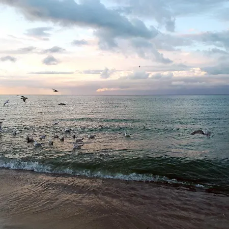 公寓 Ensemble 31 Stra 巴贝